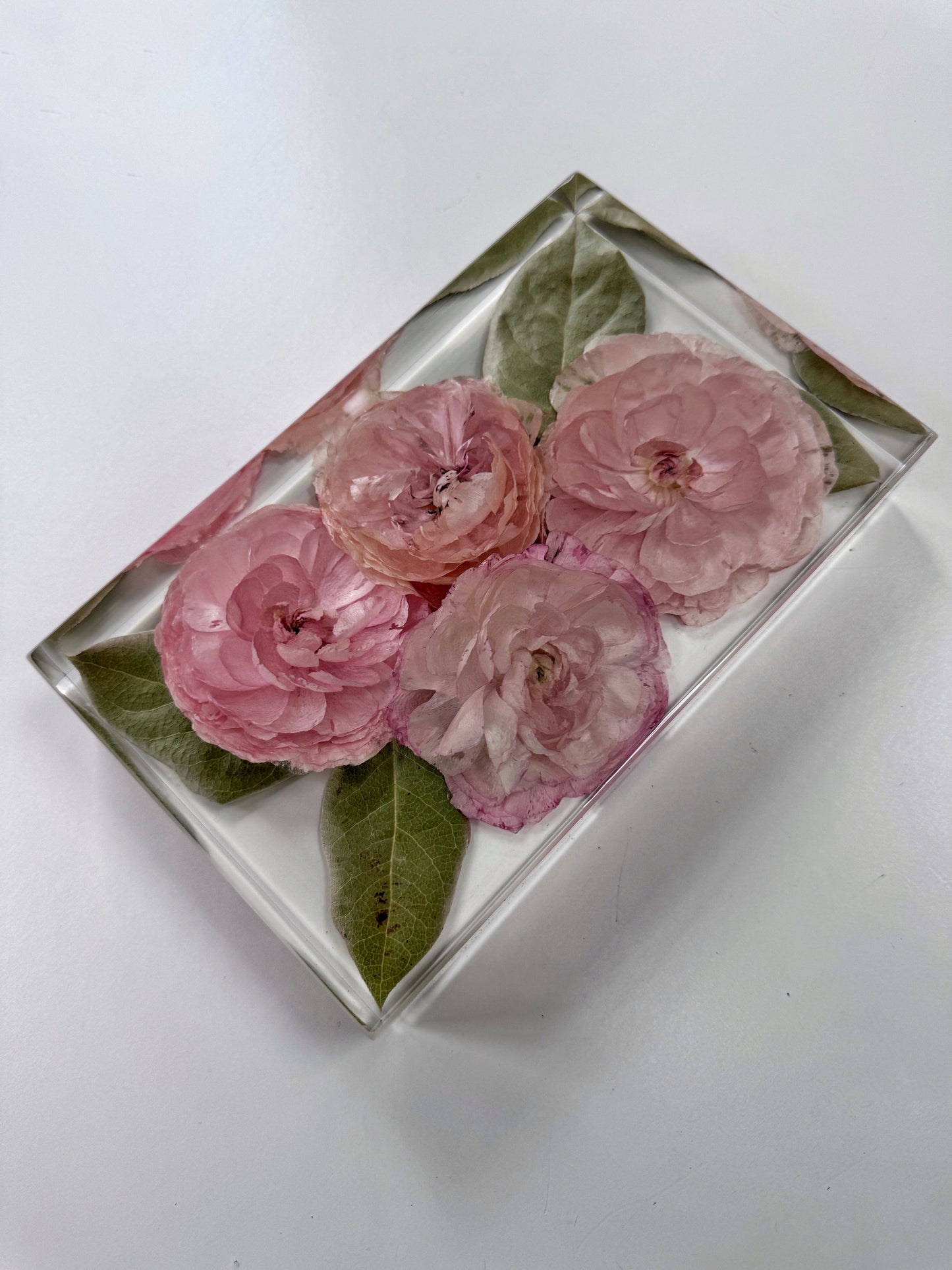 8" x 6" Rectangle
