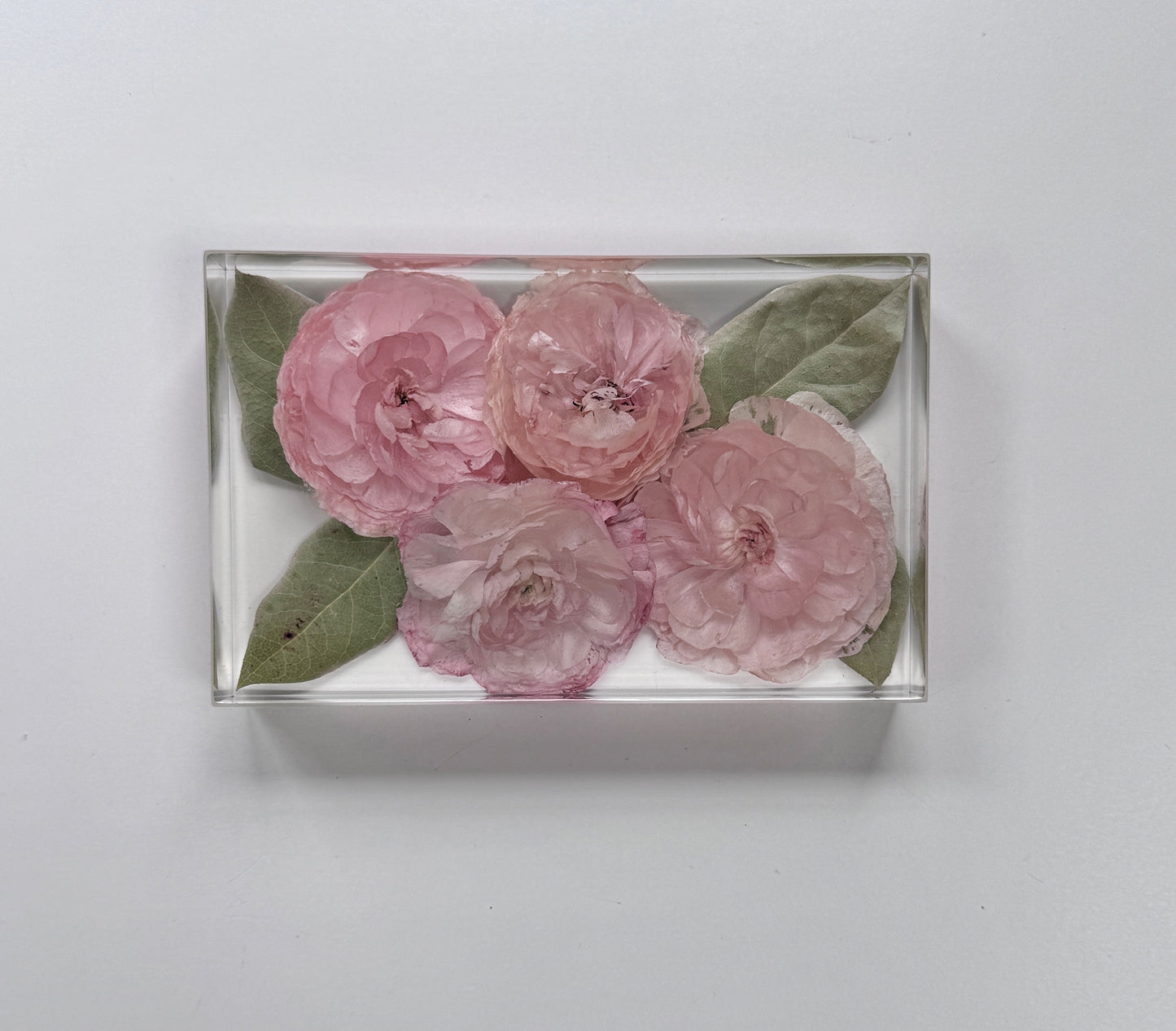 8" x 6" Rectangle