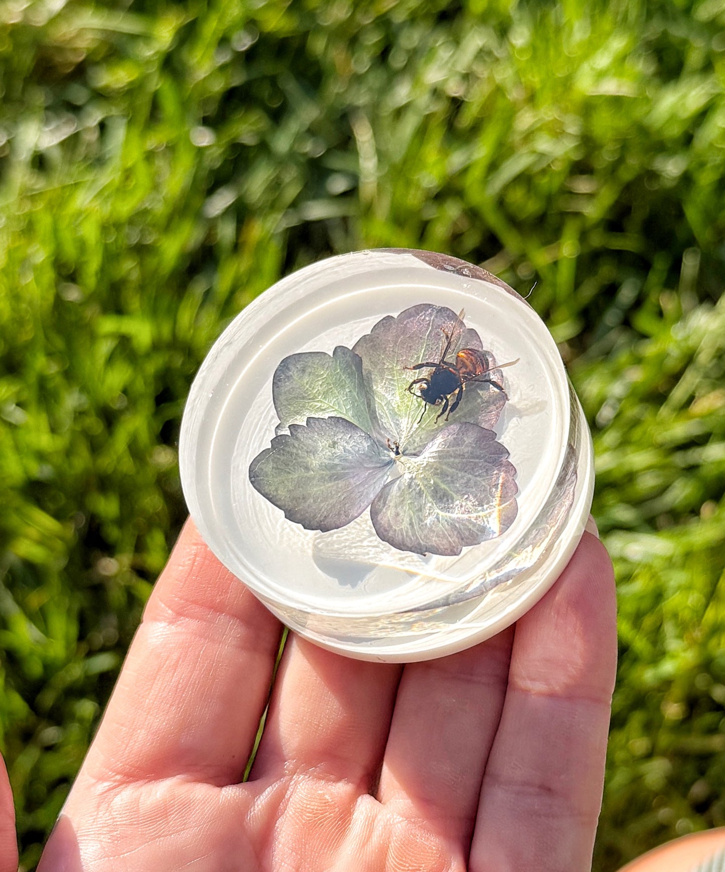 🐝 Resin Bee & Hydrangea Magnets – Eclipse Series