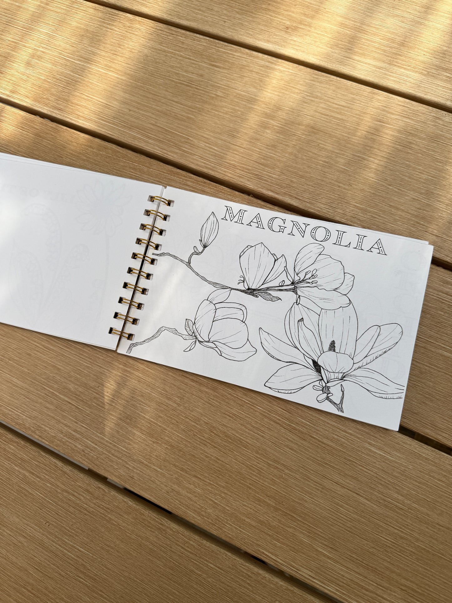 Coloring Book Pages - Watercolor & Mixed Media - LOOSE SHEETS