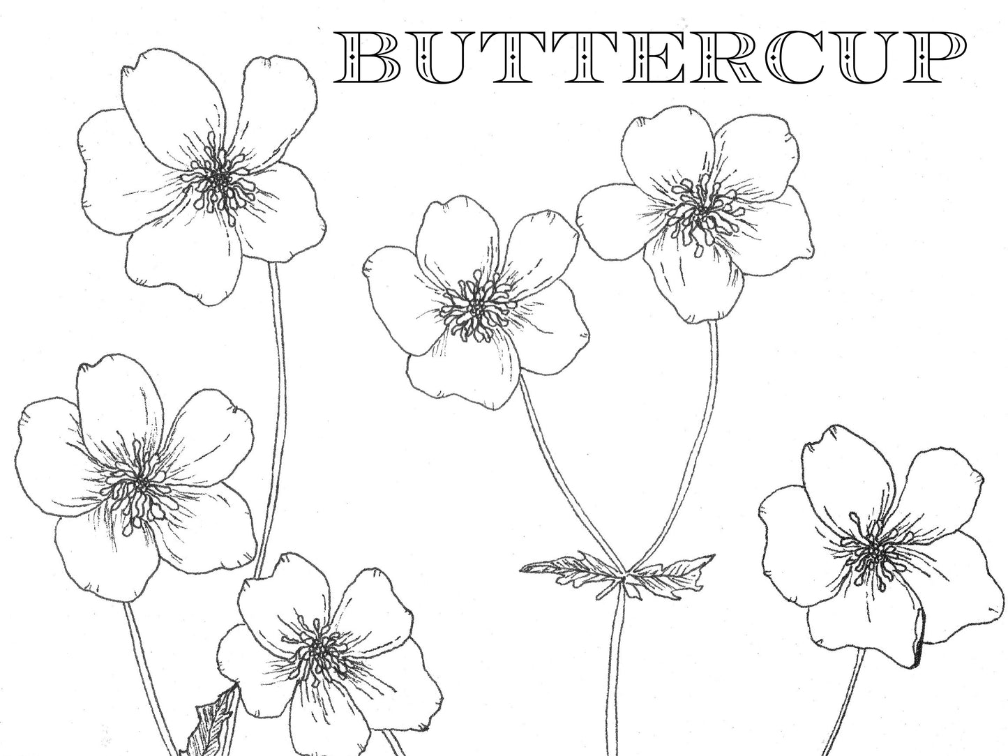 Coloring Book Pages - Watercolor & Mixed Media - LOOSE SHEETS