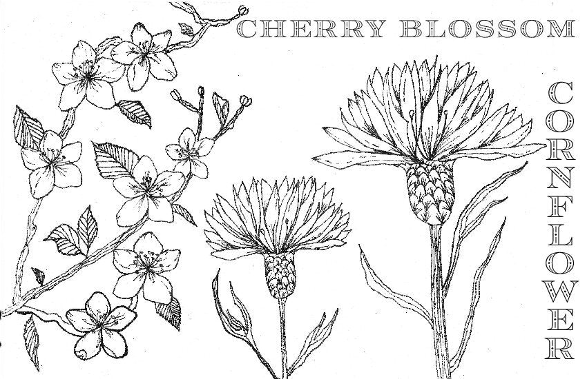 Coloring Book Pages - Watercolor & Mixed Media - LOOSE SHEETS