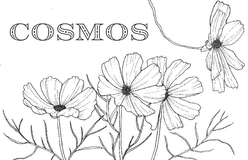Coloring Book Pages - Watercolor & Mixed Media - LOOSE SHEETS