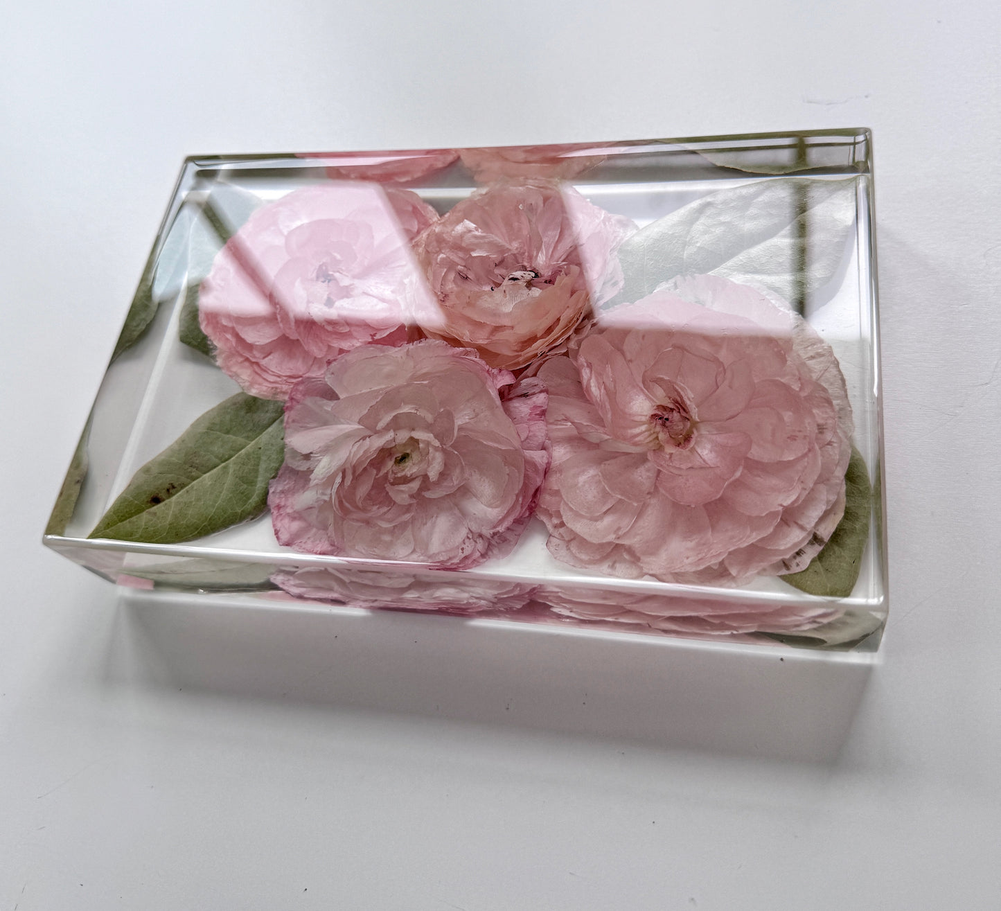 8" x 6" Rectangle