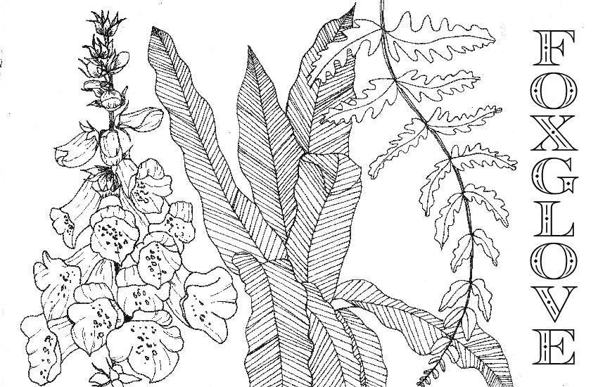 Coloring Book Pages - Watercolor & Mixed Media - LOOSE SHEETS