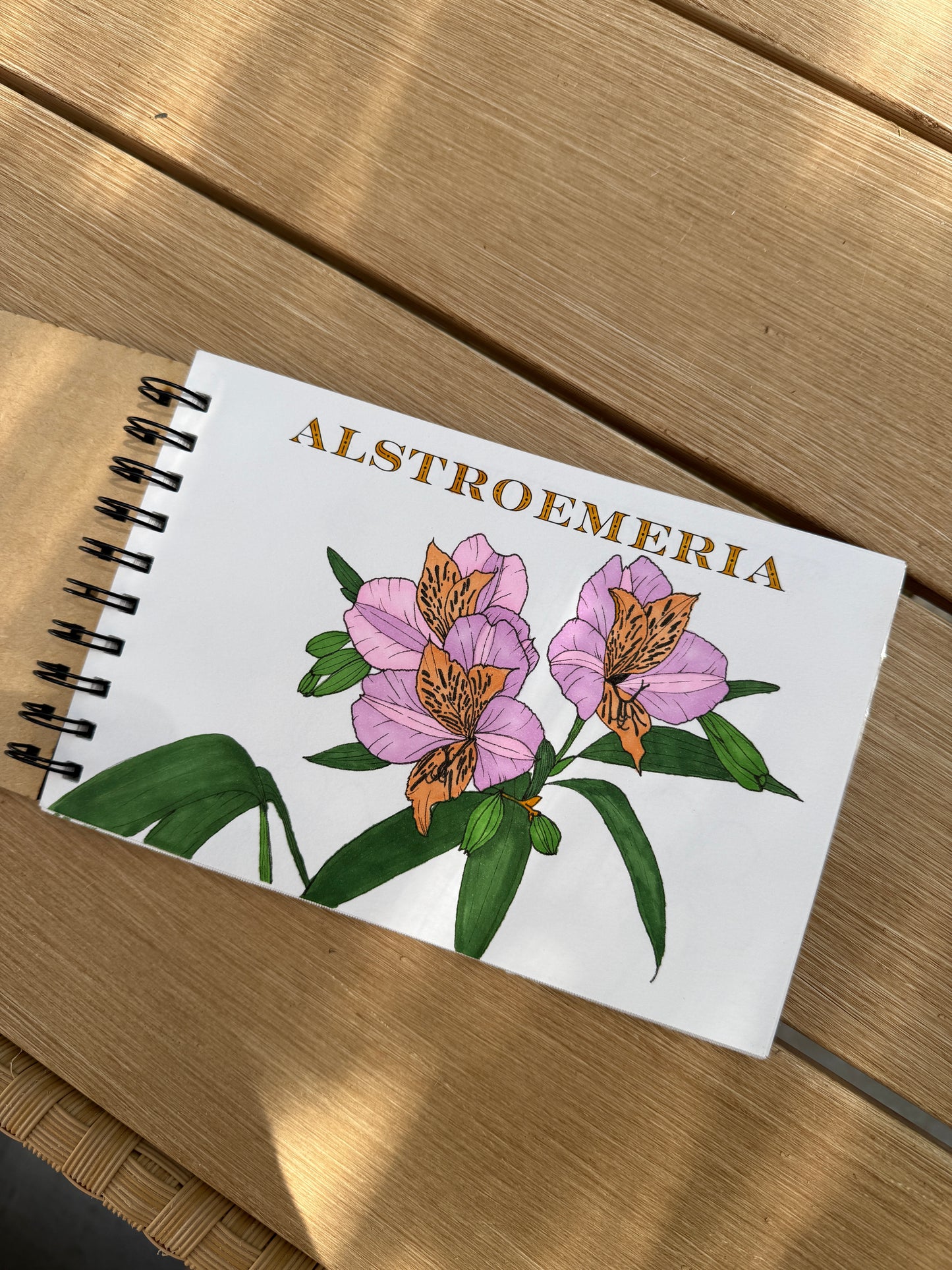 Complete Floral Coloring Book – Mixed Media Edition (with Marker Bundle) 9.8.25