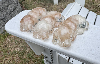 Pet Memorial Keepsake