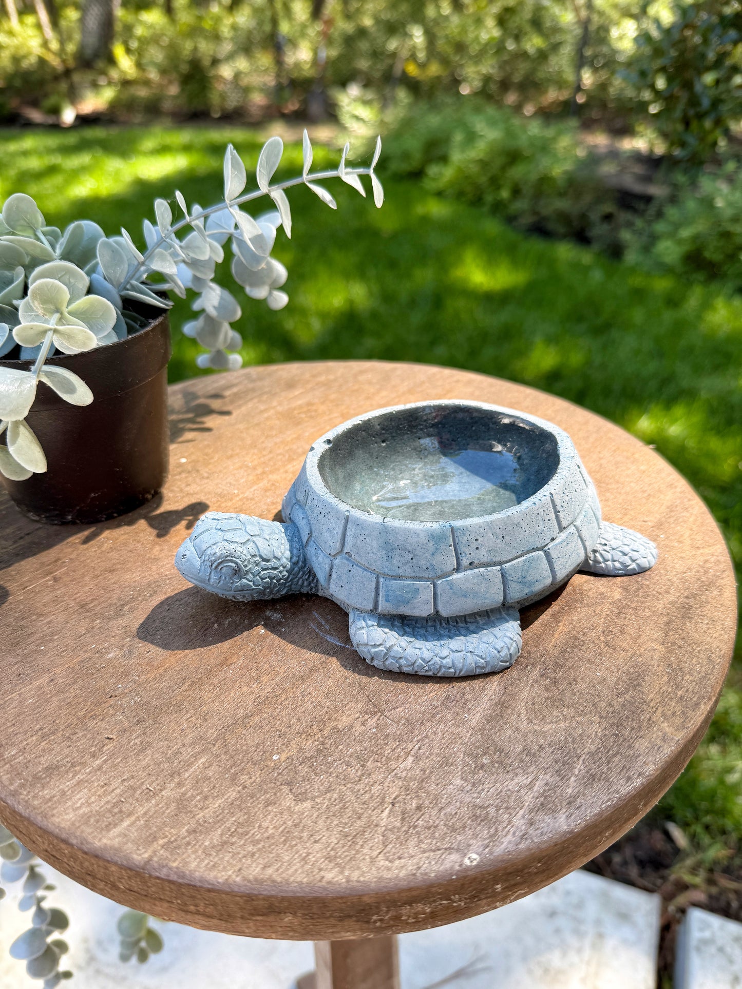 Concrete Vases 9.8.25
