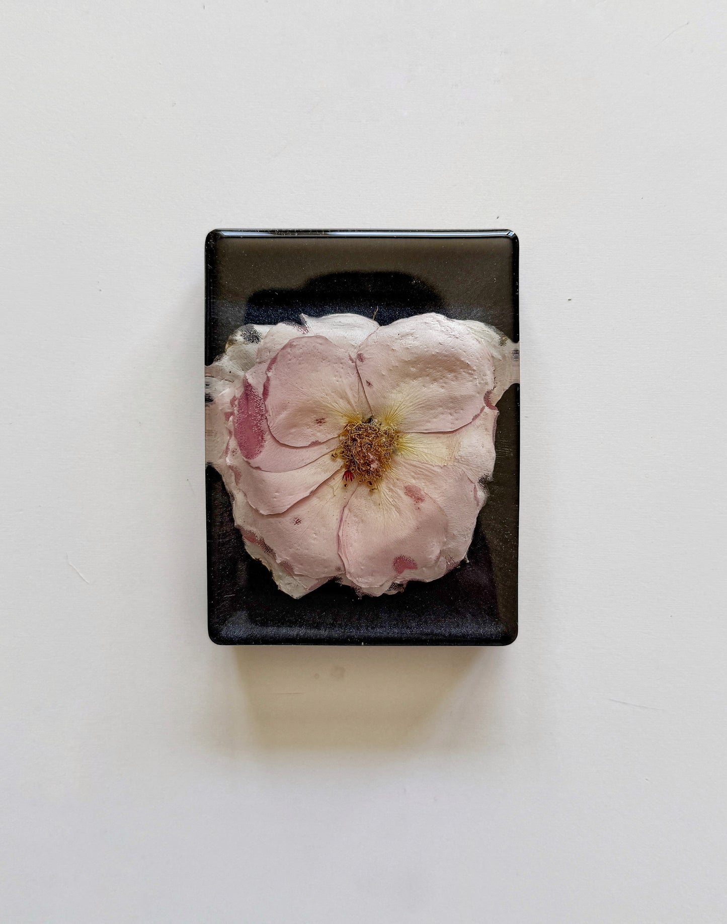 Resin Floral Preservation Minis