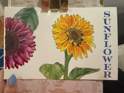 Complete Floral Coloring Book – Watercolor Edition (with Watercolor Set) 11.16.25