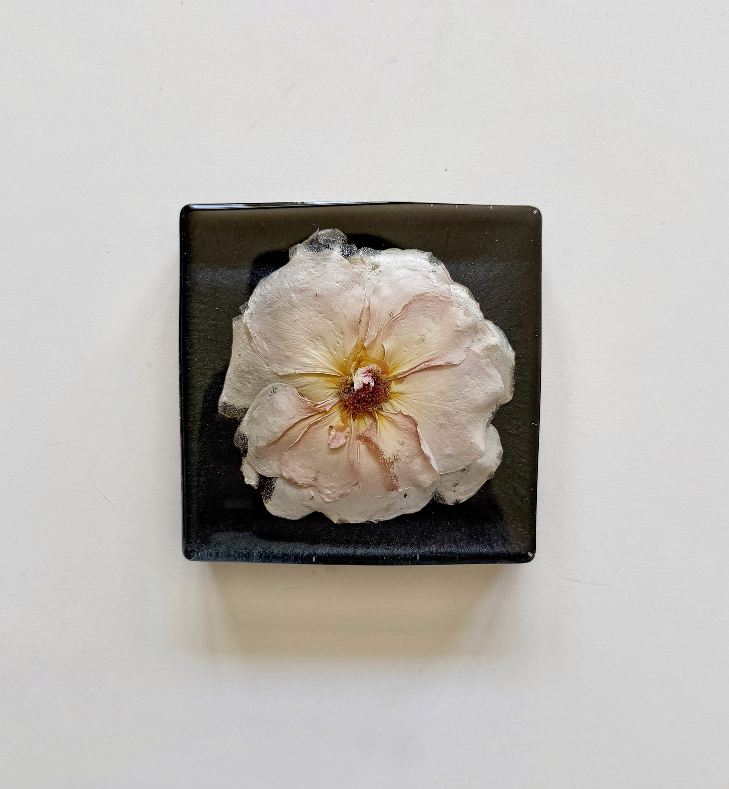 Resin Floral Preservation Minis