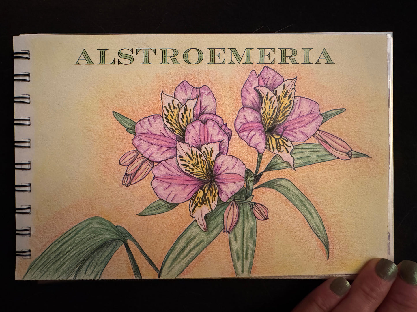 Complete Floral Coloring Book – Mixed Media Edition (with Marker Bundle) 9.8.25