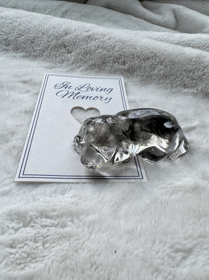 Pet Memorial Keepsake