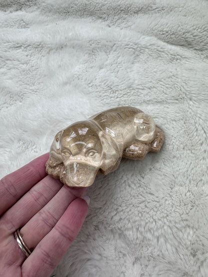 Pet Memorial Keepsake