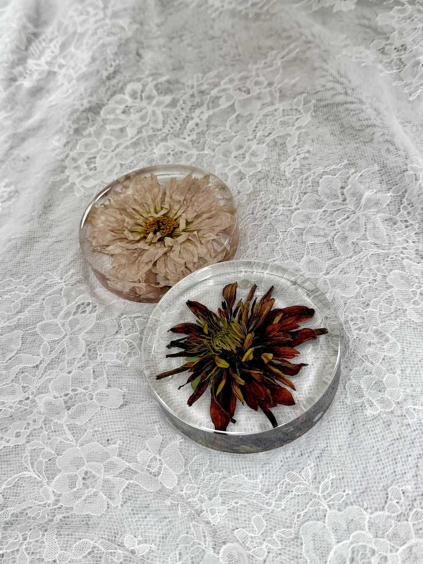 Coasters Floral Preservation Keepsake - Add On Item