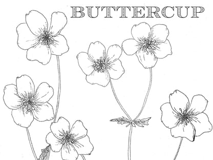 Spiral Bound Coloring Book - Watercolor & Mixed Media