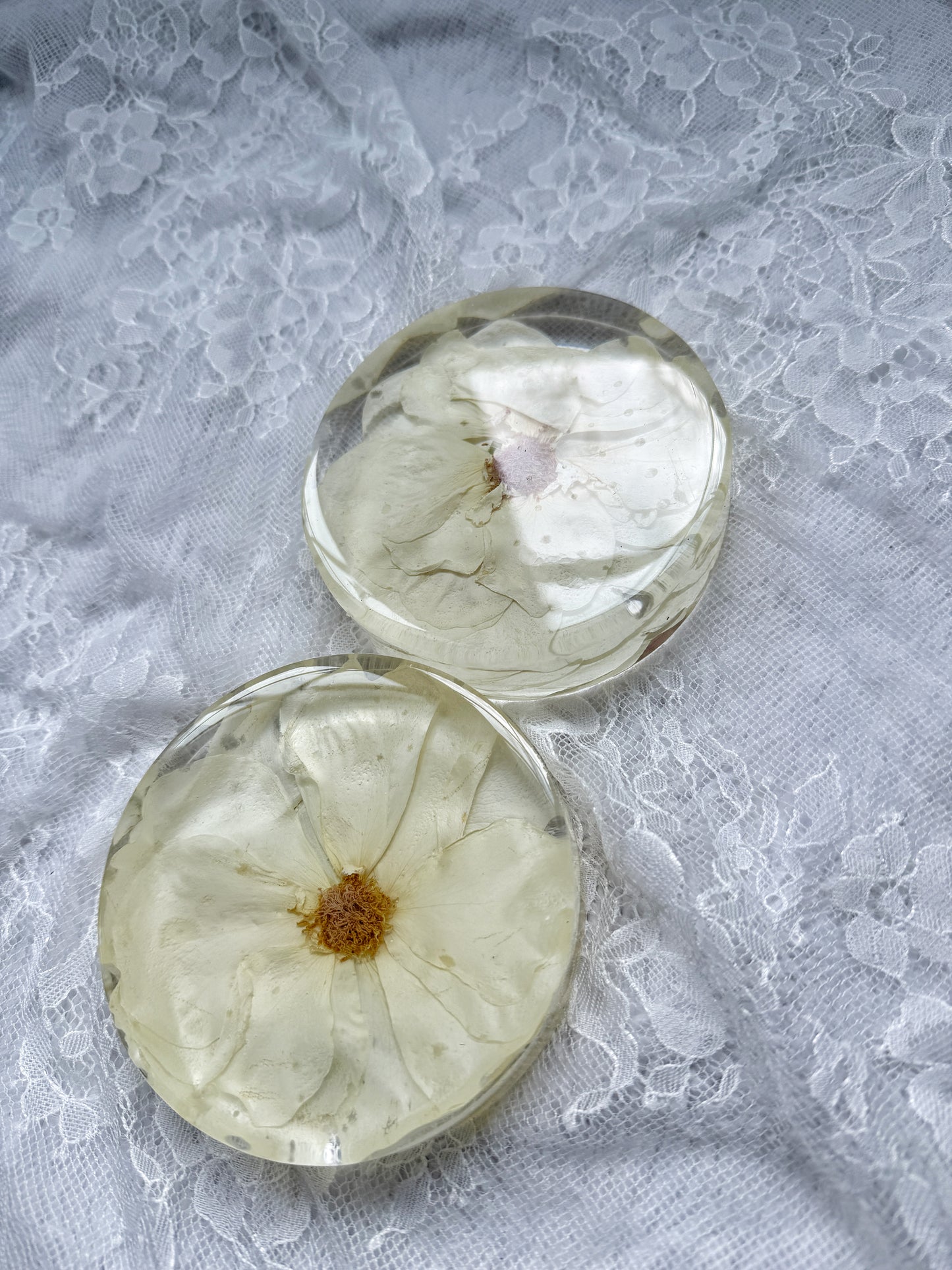Coasters Floral Preservation Keepsake - Add On Item
