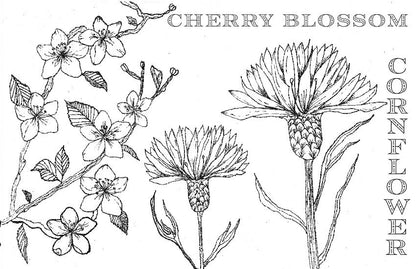 Spiral Bound Coloring Book - Watercolor & Mixed Media