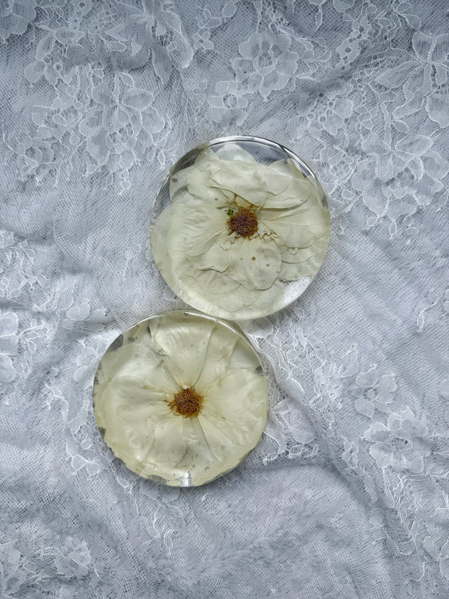 Coasters Floral Preservation Keepsake - Add On Item