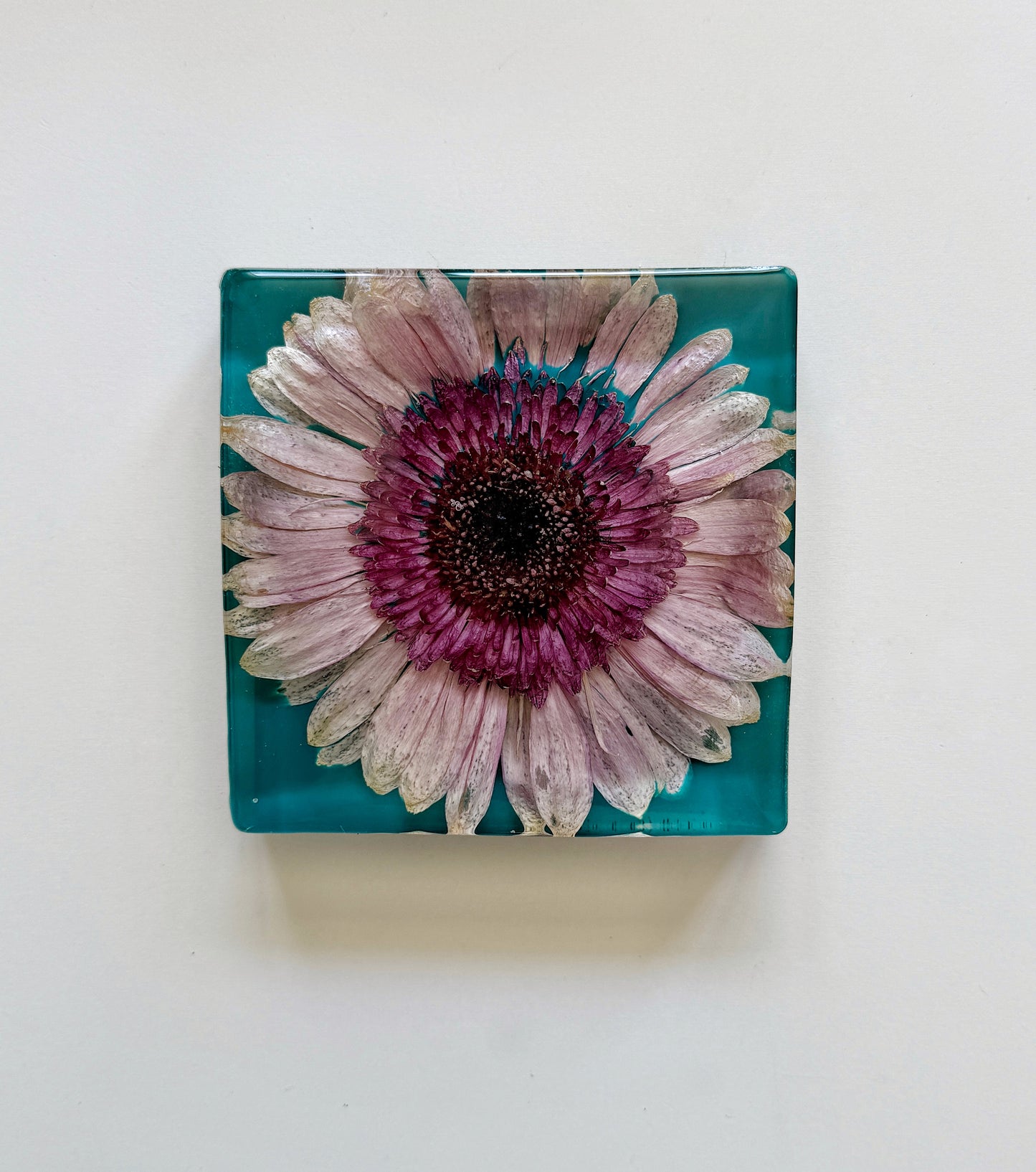 Resin Floral Preservation Minis