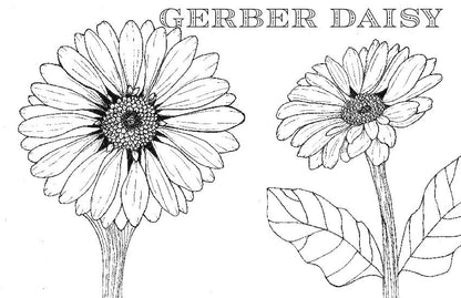 Spiral Bound Coloring Book - Watercolor & Mixed Media