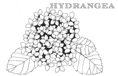 Spiral Bound Coloring Book - Watercolor & Mixed Media