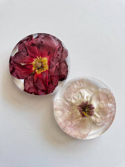 Coasters Floral Preservation Keepsake - Add On Item