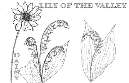 Spiral Bound Coloring Book - Watercolor & Mixed Media