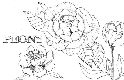 Spiral Bound Coloring Book - Watercolor & Mixed Media