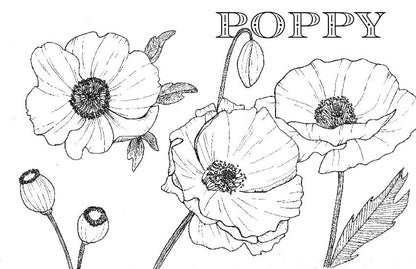 Spiral Bound Coloring Book - Watercolor & Mixed Media