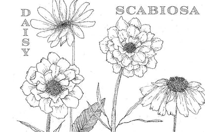 Spiral Bound Coloring Book - Watercolor & Mixed Media