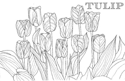 Spiral Bound Coloring Book - Watercolor & Mixed Media