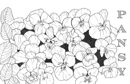 Spiral Bound Coloring Book - Watercolor & Mixed Media